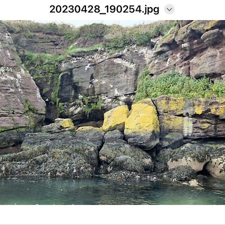 Sandy Cove Данмор-Іст Екстер'єр фото