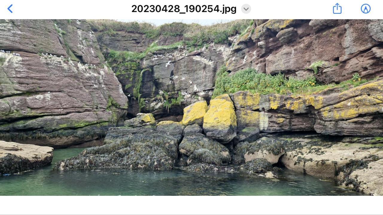 Sandy Cove Данмор-Іст Екстер'єр фото